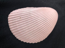 Load image into Gallery viewer, Chrysantheum Decoupage Flower trinket tray Shell Art