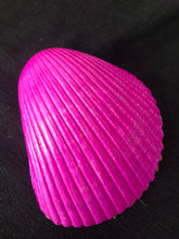 Load image into Gallery viewer, Pop of Flowers trinket tray Shell Art sold