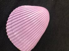 Load image into Gallery viewer, Pop of Color trinket tray Shell art