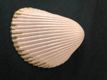 Load image into Gallery viewer, Rose trinket tray Shell Art