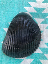 Load image into Gallery viewer, Black and White trinket tray Shell Art sold