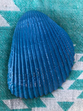 Load image into Gallery viewer, Coral trinket tray Shell Art