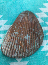 Load image into Gallery viewer, Green Sea Horse trinket tray Shell Art