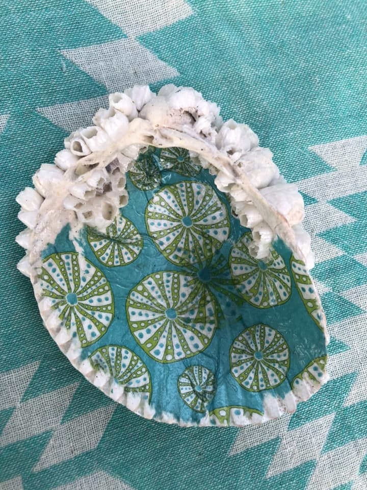 Barnacle trinket tray Shell Art