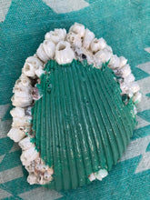 Load image into Gallery viewer, Barnacle trinket tray Shell Art
