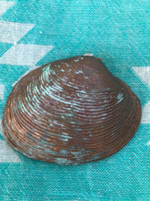 Load image into Gallery viewer, Verdigris Clam trinket tray Shell Art

