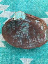 Load image into Gallery viewer, Verdigris Clam trinket tray Shell Art

