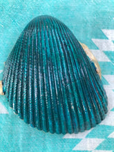 Load image into Gallery viewer, Turtle with Moulds trinket tray Shell Art

